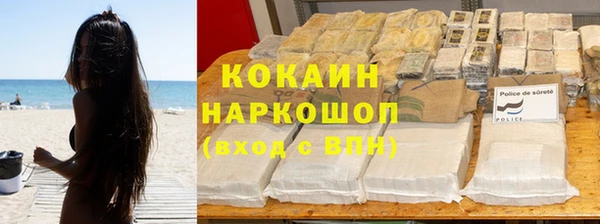 прущие грибы Нефтегорск