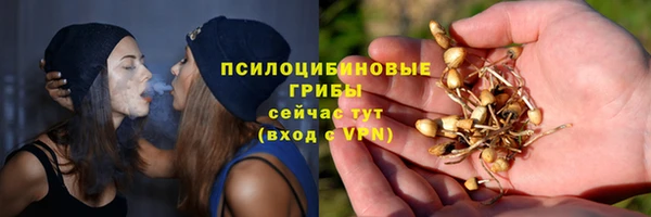 спайс Надым