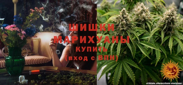 спайс Надым