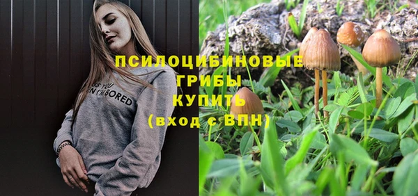спиды Наволоки