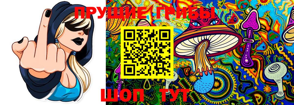 Тверь  сколько стоит  Вход с VPN  Галлюциногенные грибы мицелий 