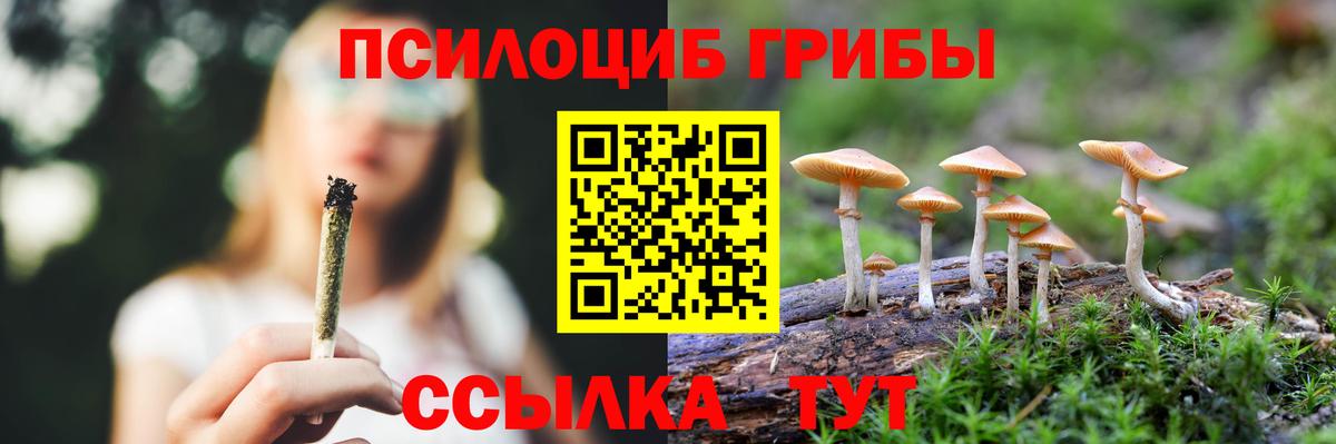 Галлюциногенные грибы прущие грибы Тверь